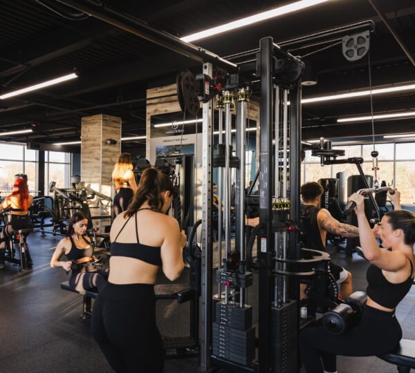 Results Gym