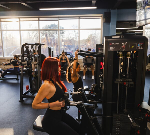 Results Gym