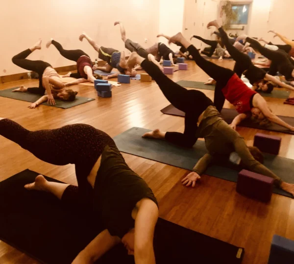 Vitality Yoga Flow