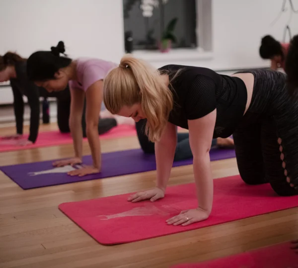 Llamaste Yoga Center