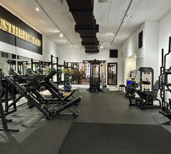 Aesthetic Lab