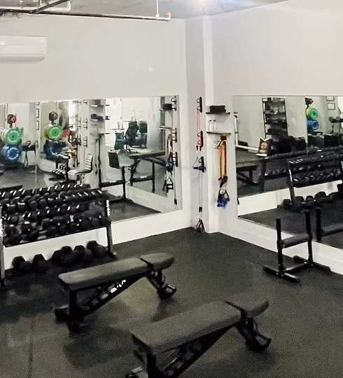 The Workout Plant