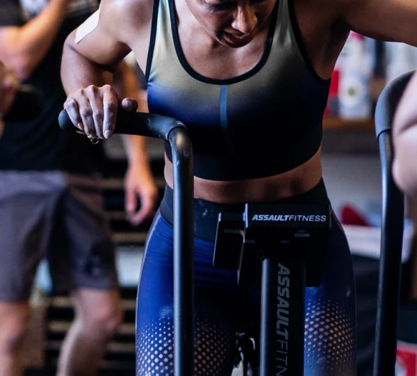 THE VAULT HYBRID TRAINING