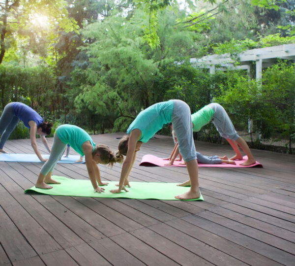 Yoga Mind Li