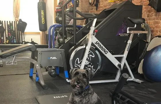 Wealth Fitness