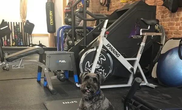 Wealth Fitness