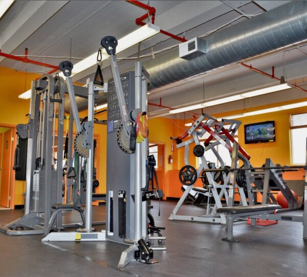 Fitness Gallery