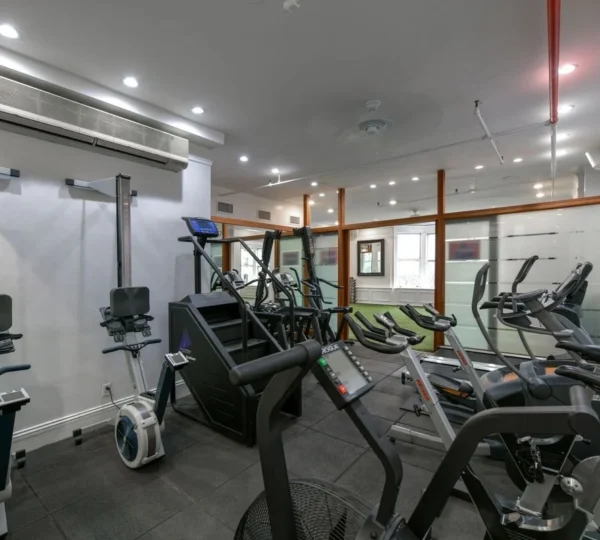 Iconoclast Fitness