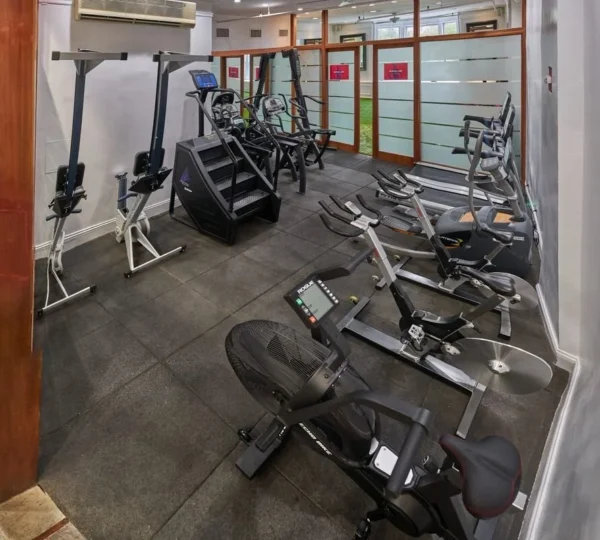 Iconoclast Fitness