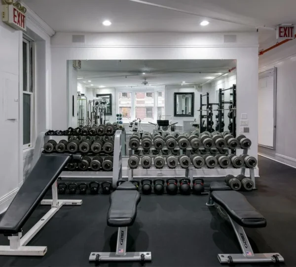 Iconoclast Fitness
