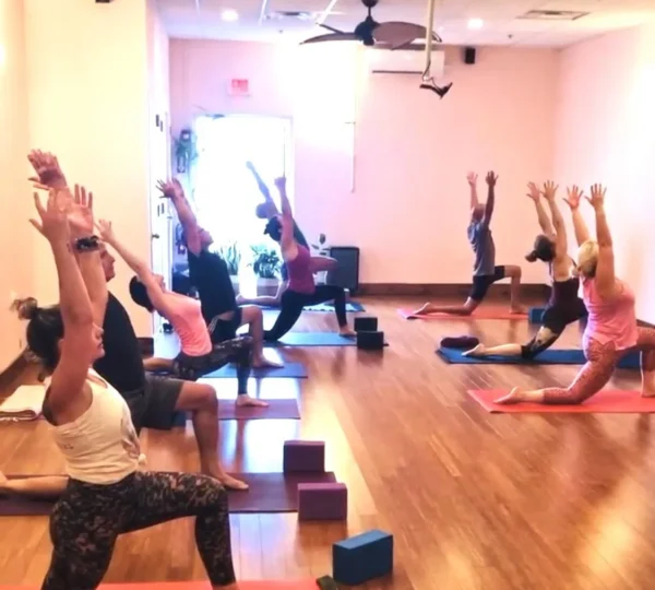Vitality Yoga Flow